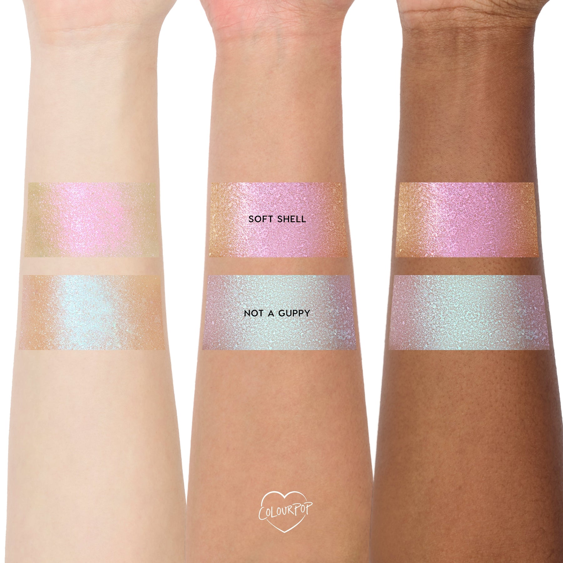 Not A Guppy - Daily Set