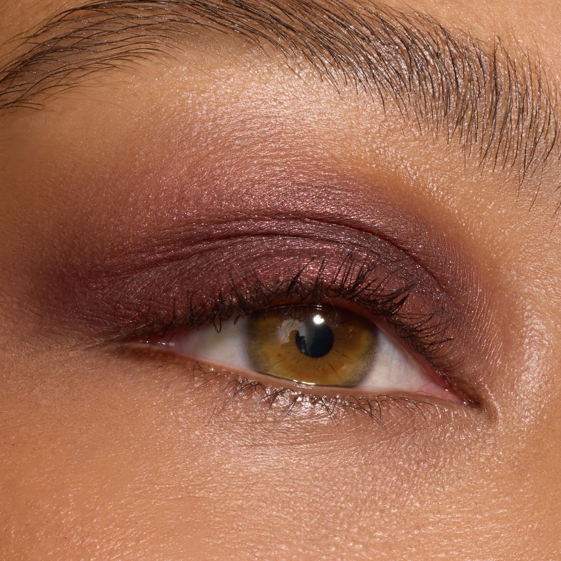 The Volturi - Daily Set