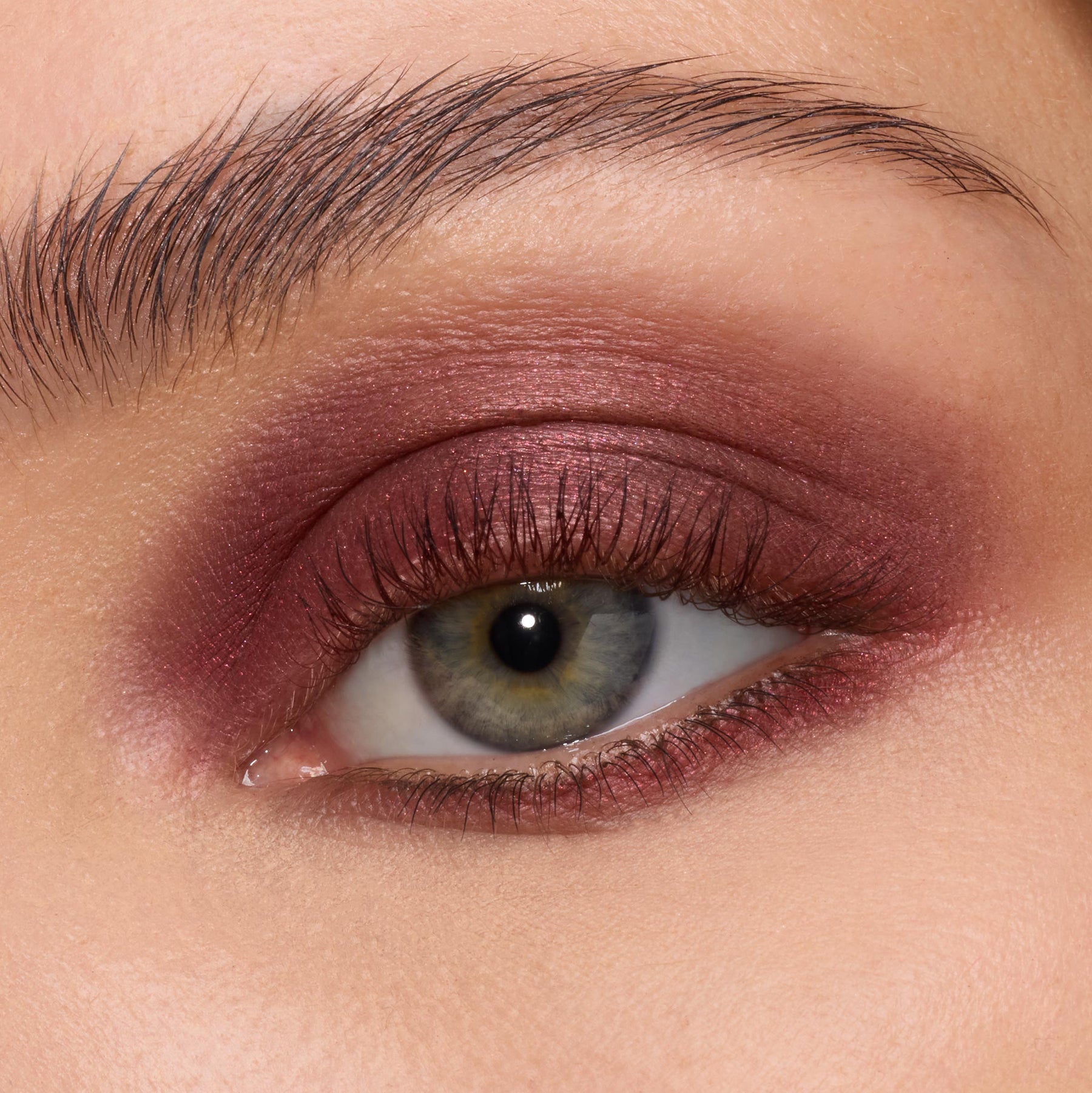 The Volturi - Daily Set